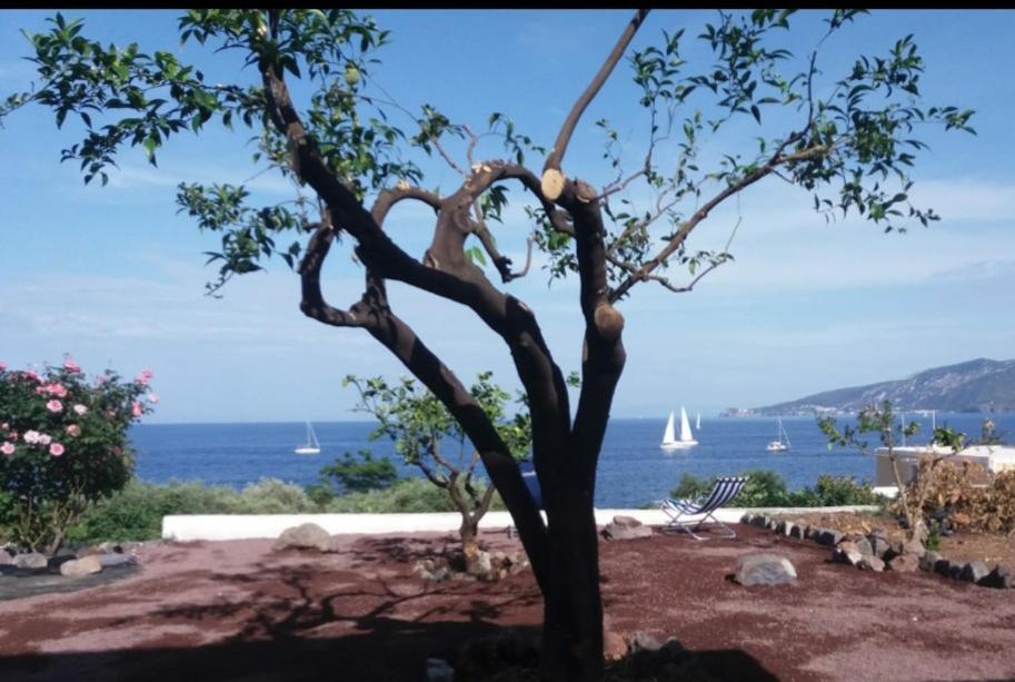 Villa Insolia Santa Marina Salina Oda fotoğraf